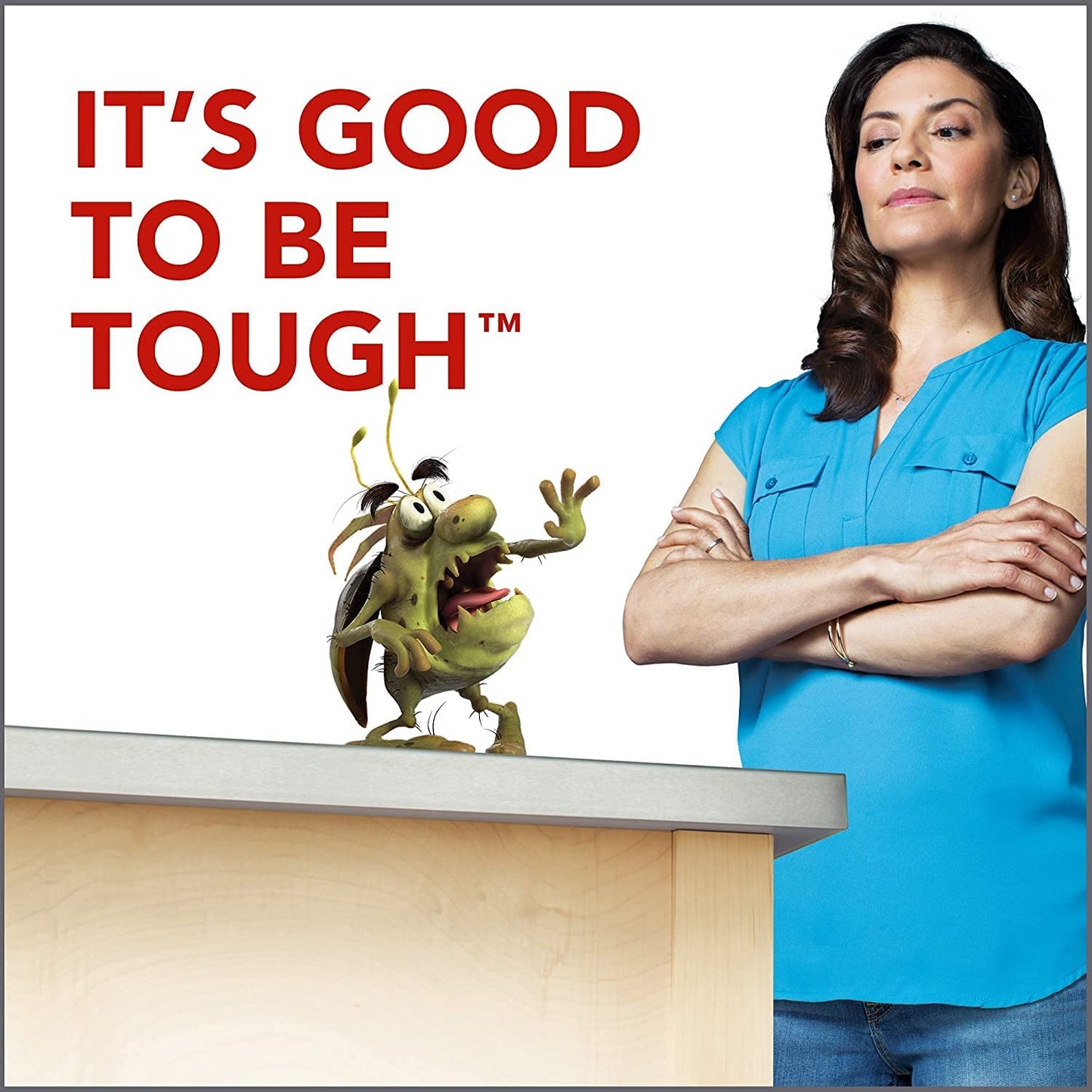 Raid Ant and Roach Killer - Fragrance-Free Formula | 17.5 Ounce (Pack of 4)
