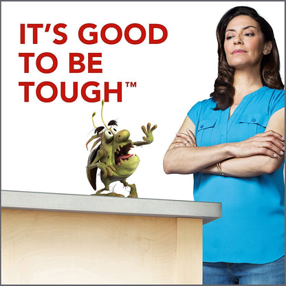 Raid Ant and Roach Killer - Fragrance-Free Formula | 17.5 Ounce (Pack of 4)