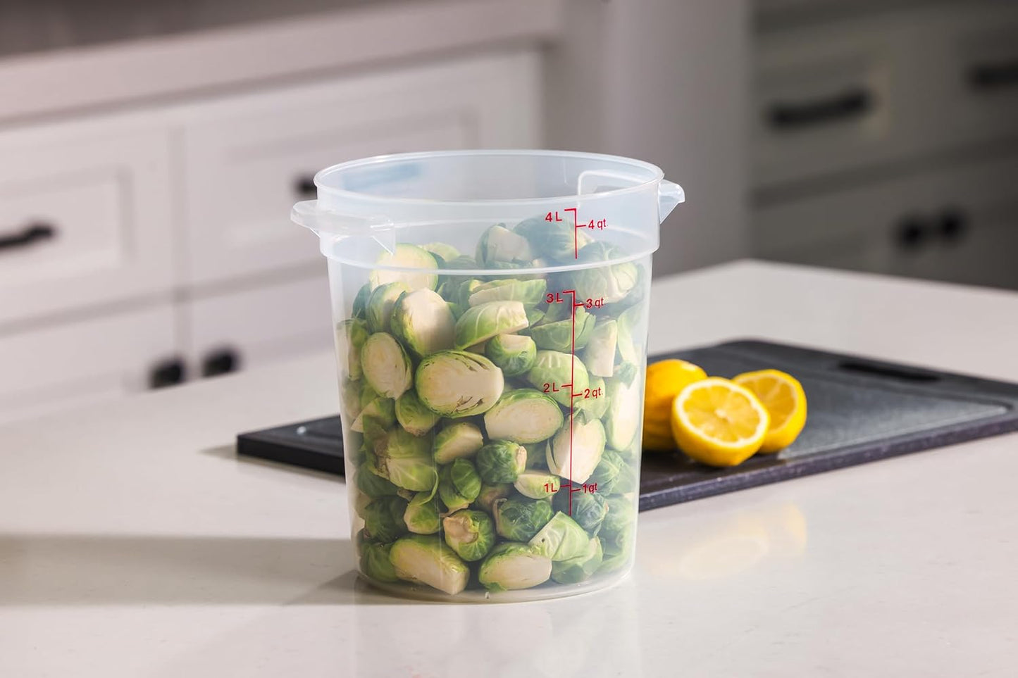 Cambro Food Storage Containers - BPA-Free 4 Quart Buckets with Lids for Dough Proofing & Brining | 2 Pack