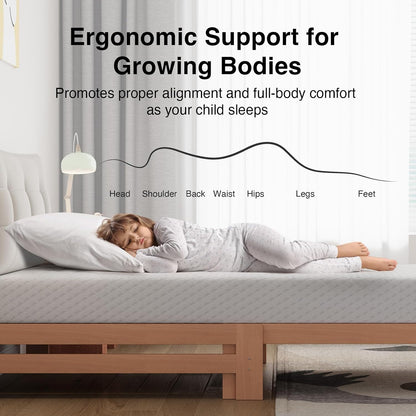 Novilla Twin Mattress - 6 Inch Memory Foam for Pressure Relief & Comfort | CertiPUR-US Certified