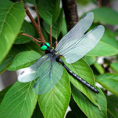 Skiennix 10pcs Artificial Dragonfly Clips - Realistic Bug Repellent Hat Accessories for Garden Decor