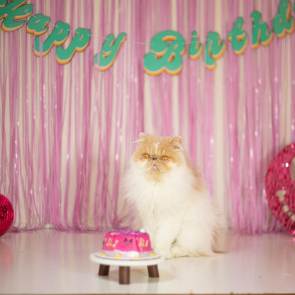 Skiennix Pastel Pink Foil Fringe Streamers - Perfect Backdrop for Birthday & Bridal Showers