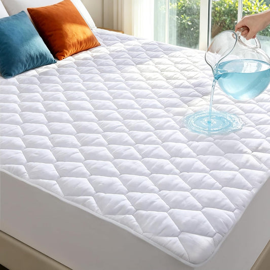 Skiennix Queen Mattress Protector - Waterproof & Washable Fitted Cover | Soft, Noiseless, Deep Pocket (White)