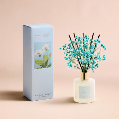 Cocorrína Reed Diffuser - Wild Mint & Eucalyptus | 6.7 Fl. Oz Set with Sticks & Preserved Baby's Breath for Home Decor