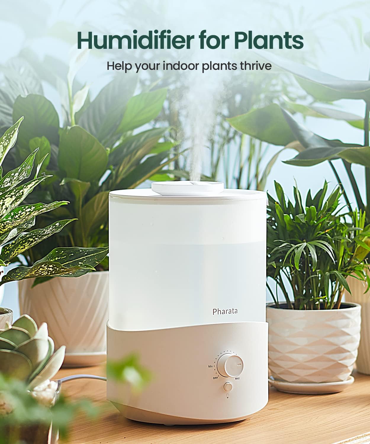 Pharata Humidifier - 2.5L Cool Mist Essential Oil Diffuser for Large Rooms | Auto Shut-Off & Top Fill Design