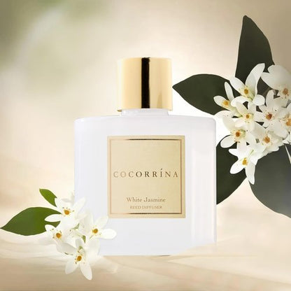 Cocorrína Reed Diffuser - White Jasmine 6.7 Fl. Oz Set with Sticks & Preserved Baby's Breath | Elegant Home Decor