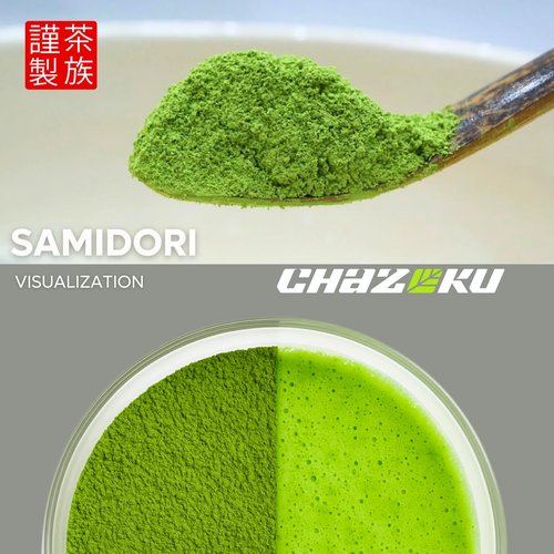Chazoku Samidori Matcha Green Tea Powder - Ceremonial Grade, First Harvest - 35g Tin | Authentic Japanese Tea
