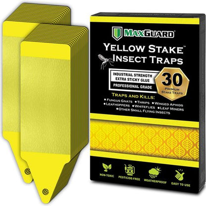 MAXGUARD Yellow Sticky Insect Traps (30 Pack) - Effectively Catch and Kill Gnats, Mosquitos & More