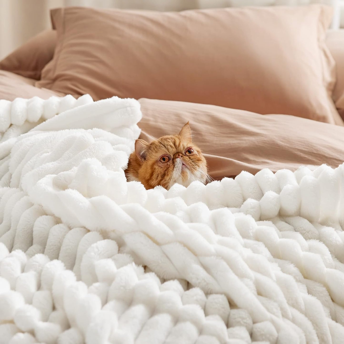 Bedsure Fleece Throw Blanket - Soft, Cozy Comfort for Couch | Perfect for All Seasons