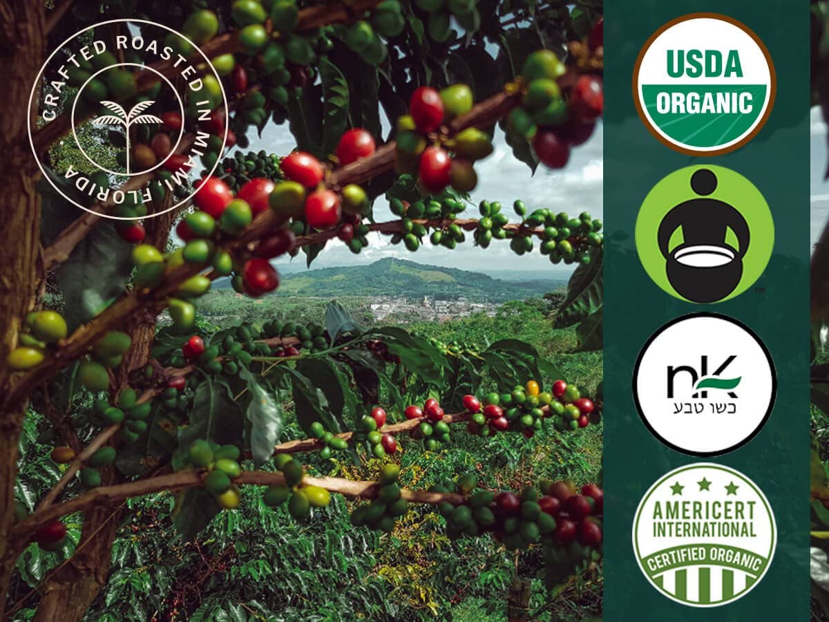 Organic Hemp Coffee Medium-Dark Roast - Artizan Coffee Roasters (Hemp)