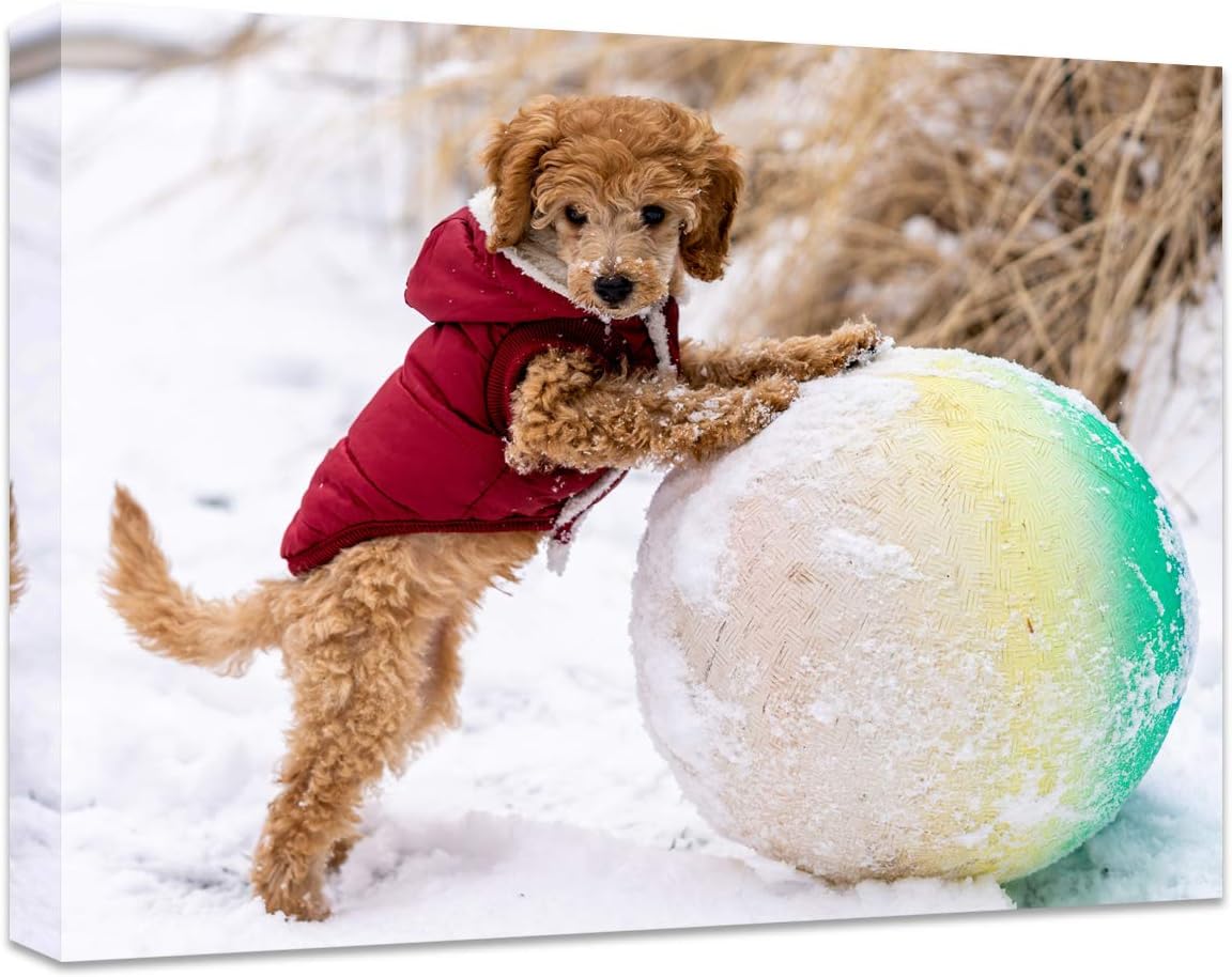 Personalized Canvas Print by [Brand Name] - Custom Photo Wall Art for Bedroom & Living Room | 20" W x 16" H