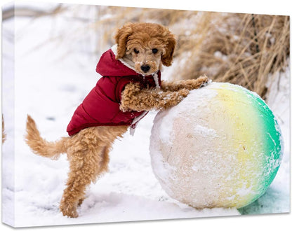 Personalized Canvas Print by [Brand Name] - Custom Photo Wall Art for Bedroom & Living Room | 20" W x 16" H