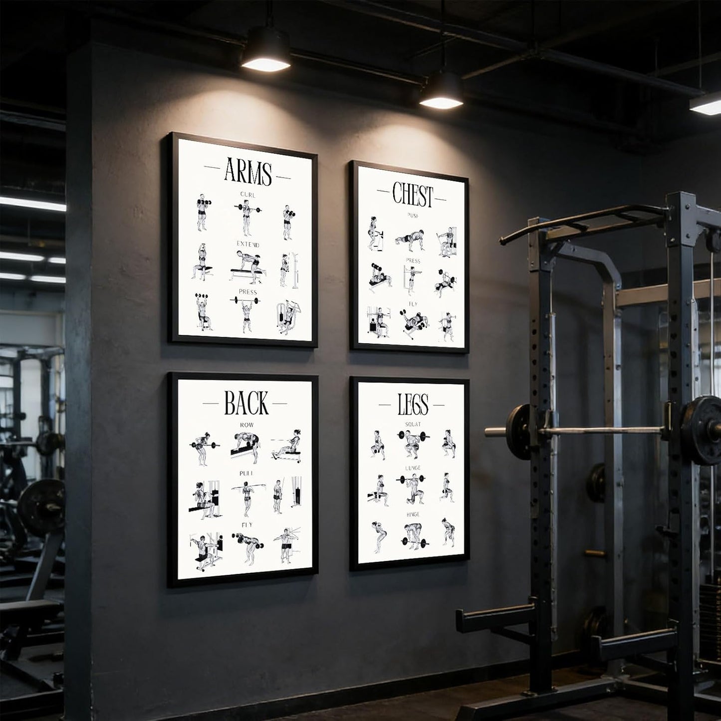 Skiennix Fitness Exercises Wall Art - Dumbbell Workout Poster for Gym & Home Decor | Strength Training Design