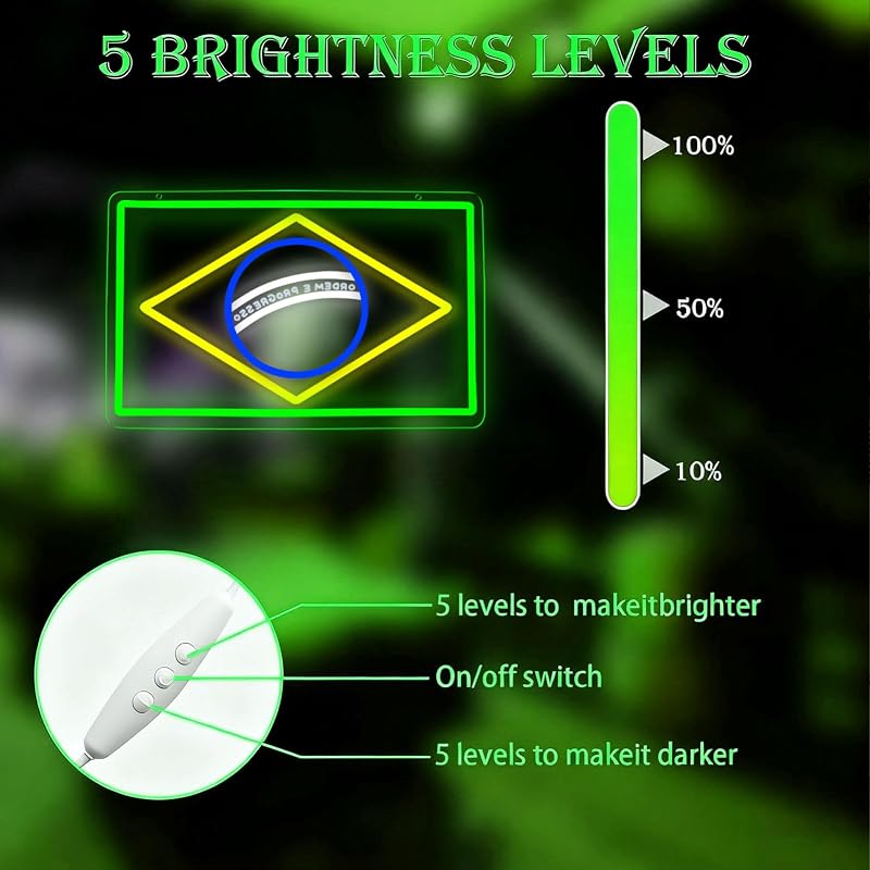Brazil Flag Neon Sign - Dimmable LED Wall Light for Man Caves, Bedrooms & Garages
