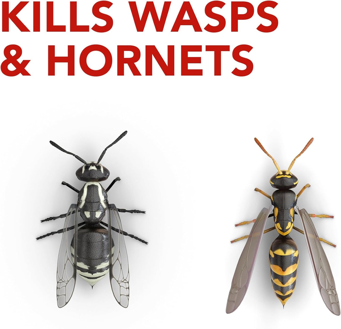 Raid Wasp & Hornet Killer Spray - Effectively Eliminates Nests & Stinging Insects | 13 oz