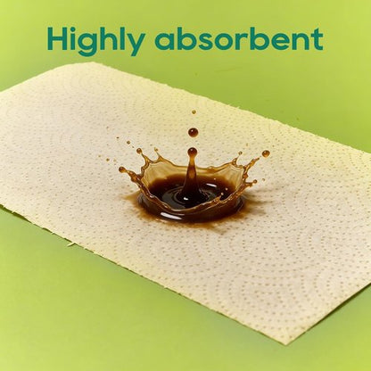 ECOlipak Paper Towels - Soft & Absorbent 2-Ply Kitchen Towels | 8 Rolls, Plastic-Free & Compostable
