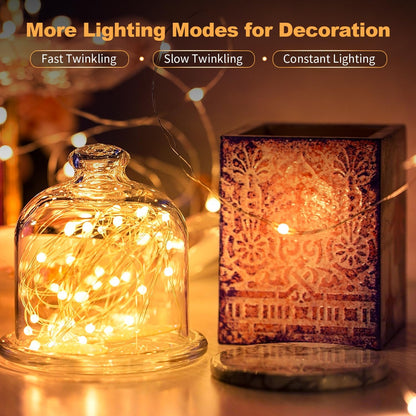 Skiennix 20 Pack LED Fairy Lights - Battery Operated Mini Twinkle String Lights | 7FT Waterproof for Christmas Decor (10 White & 10 Warm White)