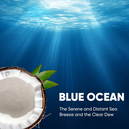 HHXI 30Ct Aromative Toilet Brush Refills, Toilet Bowl Cleaner Refills, Double-Layer Cleaning Pads Added, Compatible with Most Toilet Brushes，Blue Ocean（Patented）
