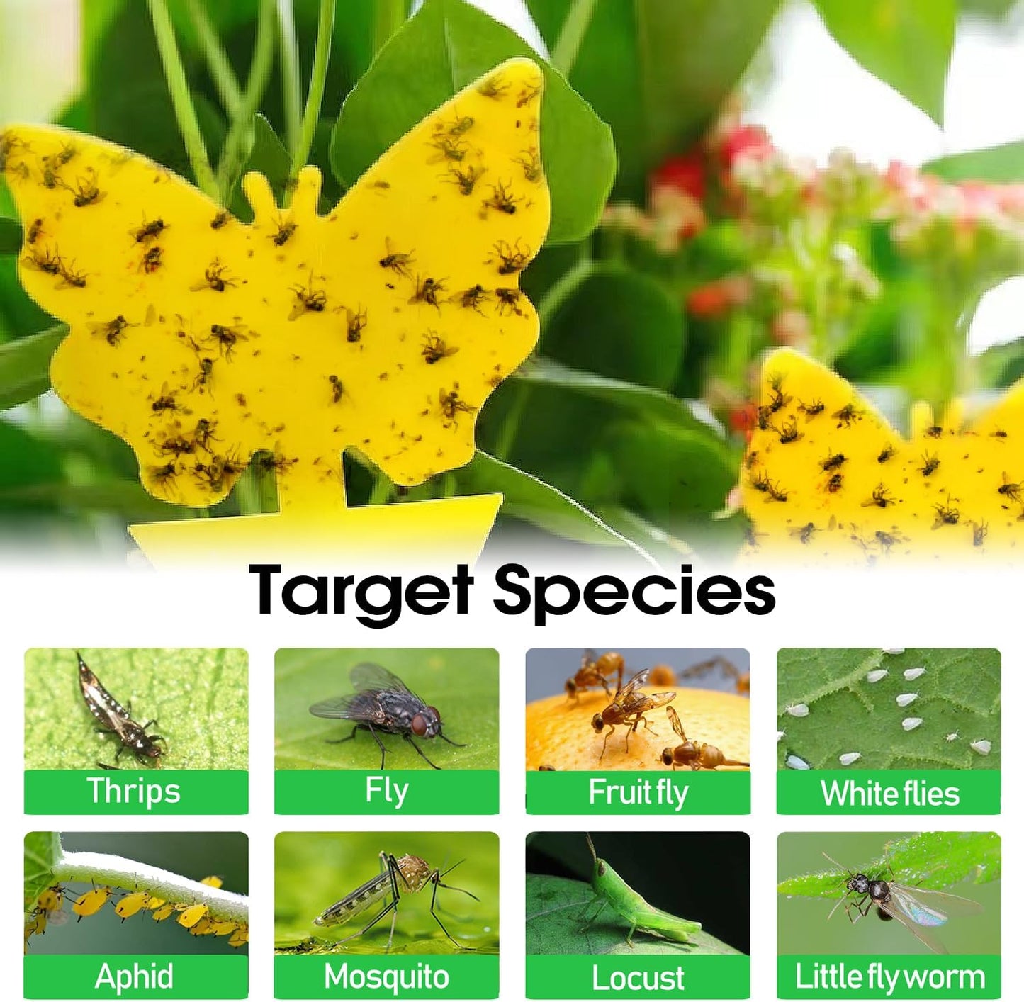 Skiennix 58 Pack Flying Insect Traps - Non-Toxic Yellow Sticky Traps for Gnats & Flies, Indoor/Outdoor Use