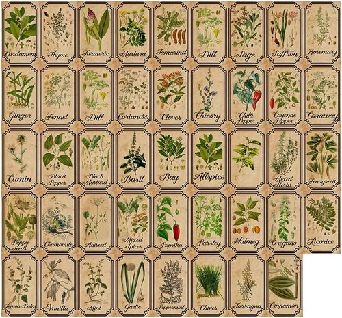 Herb And Spice Apothecary Labels - Vintage Stickers For Jars & Bottles | Perfect For Organizing