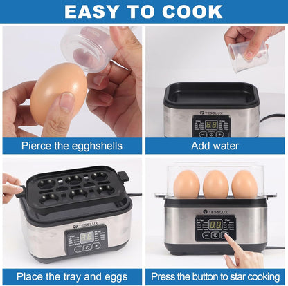 Skiennix Electric Egg Cooker - 6 Egg Capacity for Hard Boiled, Poached, Scrambled Eggs | Auto Shut Off, Silver