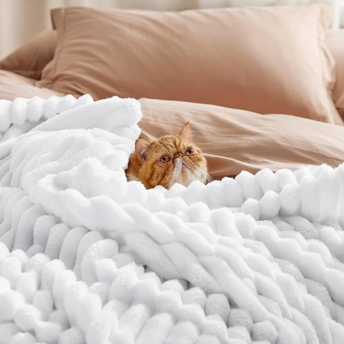 Bedsure GentleSoft California King Size Blanket - Cozy White Fleece Throw, 102x96 Inches, Perfect Gift for Women