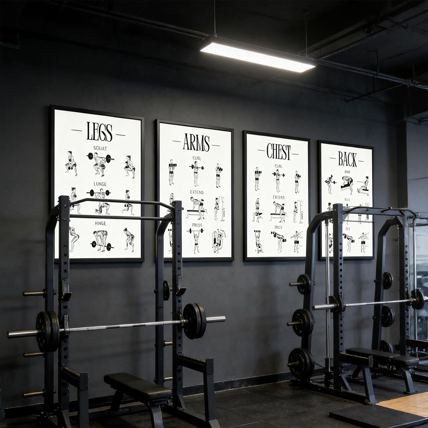 Skiennix Fitness Exercises Wall Art - Dumbbell Workout Poster for Gym & Home Decor | Strength Training Design