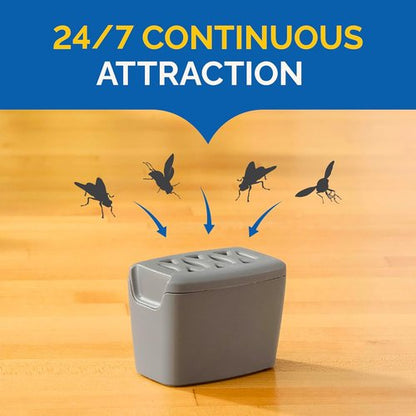 Hot Shot Flying Insect Trap - Discreet & Hassle-Free Solution for House & Fruit Flies | 6 Count