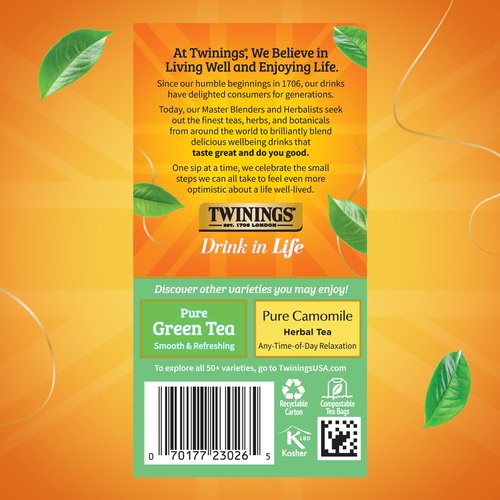 Twinings Pure White Tea Individually Wrapped Bags, 20 Count (Pack of 6), Light & Fresh, Caffeinated, Enjoy Hot or Iced, 120 Teabags