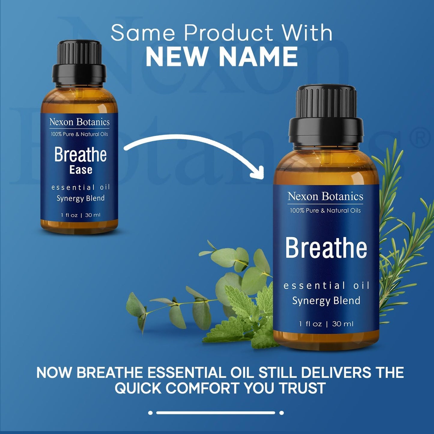 Nexon Botanics Breathe Essential Oil Blend 30 ml - Sinus Relief with Menthol - Ideal for Humidifiers & Diffusers