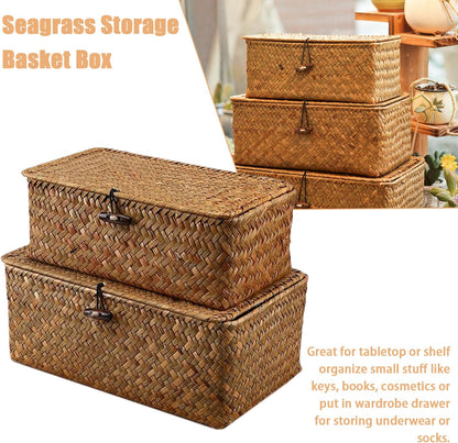 Skiennix Storage Baskets - 2 PCS Woven Seagrass Baskets with Lid for Stylish Organization | 10x6x4 & 9x5x3 Inches
