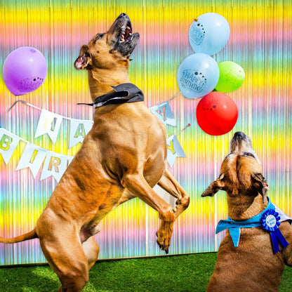 Skiennix Pastel Rainbow Foil Fringe Curtain - Vibrant Tinsel Streamers for Birthday & Easter Decor