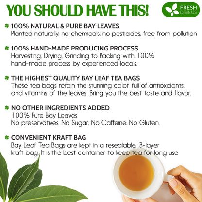 FreshDrinkUS, Premium 105 Bay Leaf Tea Bags, 100% Natural & Pure from Bay Leaves. Loose Leaf Bay Herbal Tea. Made with Natural Material Tea Bags, No Sugar, No Caffeine, No Gluten, Vegan.