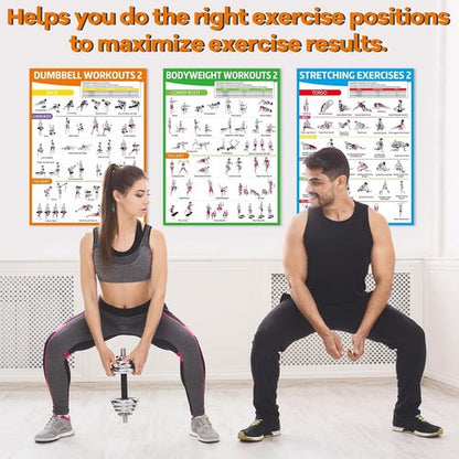 Gisgfim Workout Posters - 6PCS Home Gym Exercise Charts for Dumbbell & Bodyweight Stretching