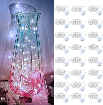 Skiennix 24 Pack LED Fairy Lights - Waterproof 7FT Silver Wire String Lights for DIY Christmas Decor
