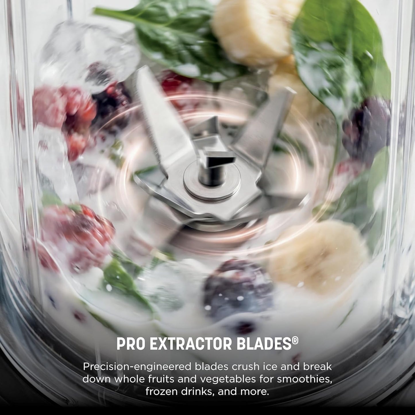 Ninja Nutri Pro Blender - Single Serve for Smoothies & Shakes | Includes 2 Cups & Lids | Silver