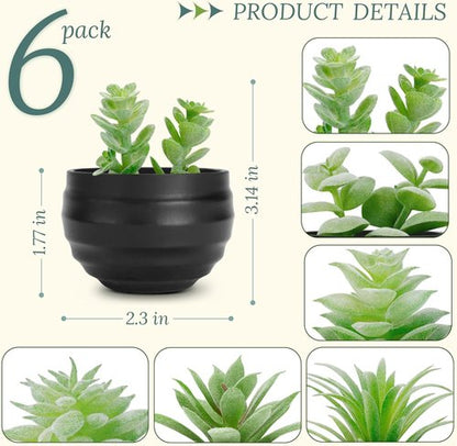 Der Rose Set of 6 Artificial Succulent Plants in Pots | Perfect for Halloween & Home Decor