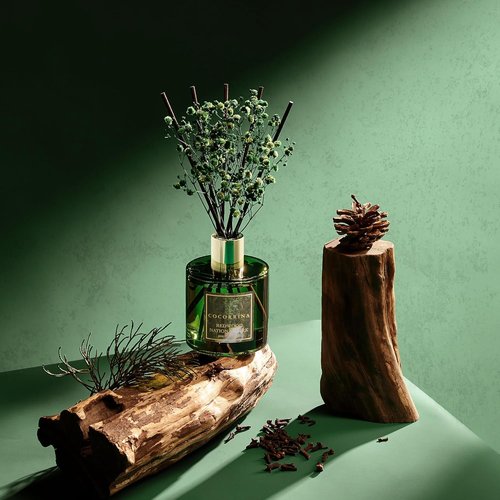 COCORRÍNA Reed Diffuser - Redwood National Park 6.7 Fl. Oz Set with 8 Sticks & Baby's Breath Decor