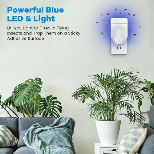 Indoor Fly Trap Plug-in Insect Traps Fruit Fly Traps 2 Devices with 6 Refills for Indoors Gnat Killer for House Flies, Flying Bugs, Moths, Mosquitoes (2 Devices with 6 Refills)