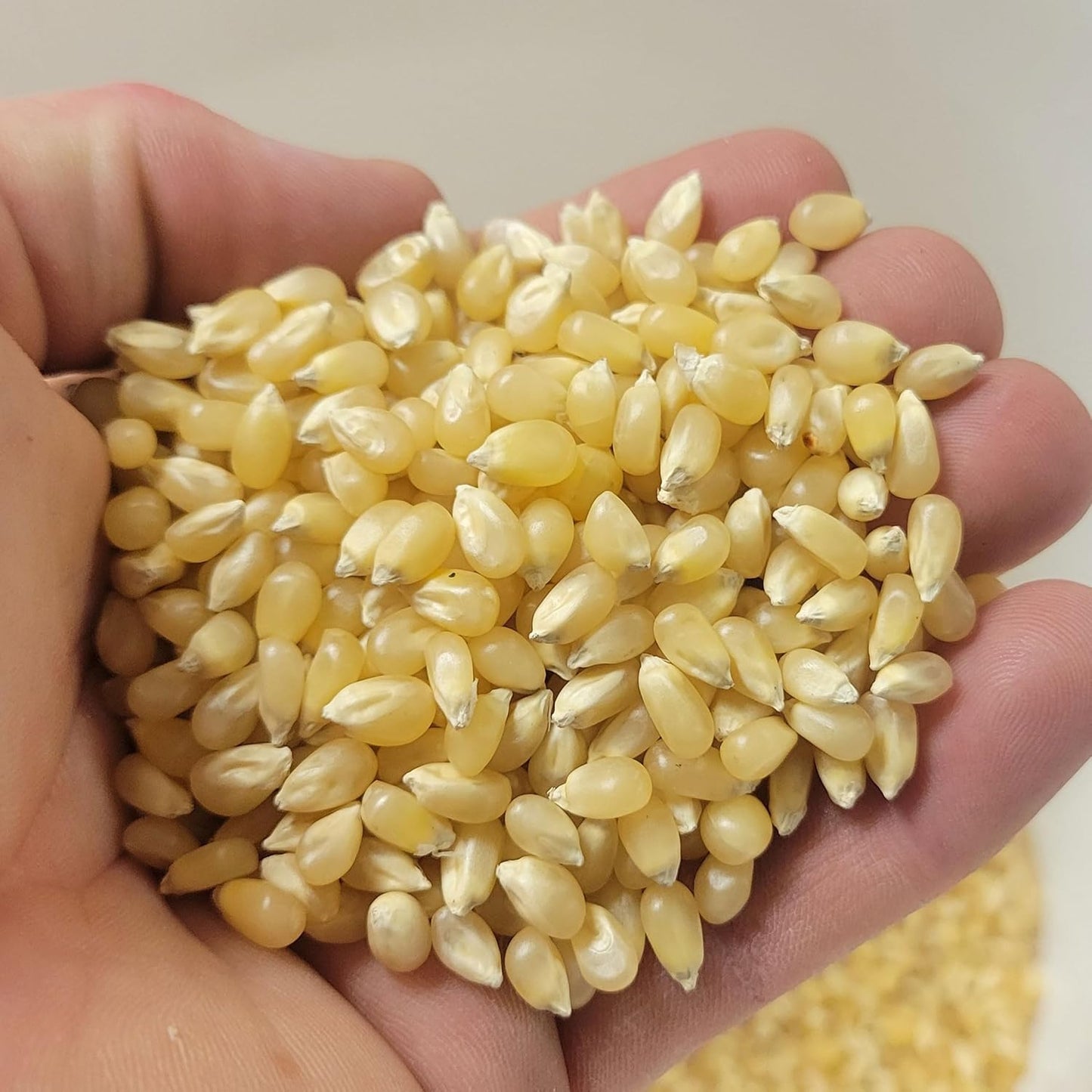 Princeton Farmer Bob's Baby White Popcorn Kernels - Tender Hulless 2lb Bag | Fresh, Delicious Flavor for Oil, Microwave, or Air Popper