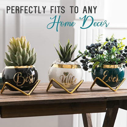 PeraBella 3-Piece Succulent Planter Set - Perfect Romantic Gift for Her | Ideal for Home Decor