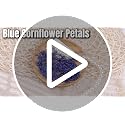 Natural Dried Cornflower Petals for DIY Crafts & Decorations - 5g Blue
