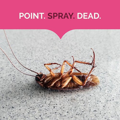 Hot Shot Ant, Roach & Spider Killer - Fast-Acting Insecticide Spray | 17.5 Ounces, Indoor & Outdoor Use