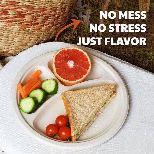 Compostable 3-Compartment Paper Plates - Heavy Duty Biodegradable Lunch Trays | 10 Inch, 125 Count, White