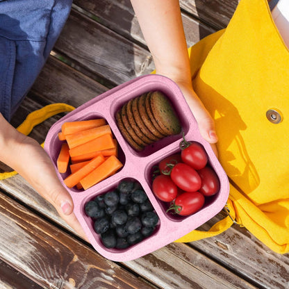 Snackle Box Container,Meal Prep Containers Reusable, 4 Compartments Meal Prep Lunch Containers for Kids Adults, Divided Food Storage Containers for School Work Travel (Pink)