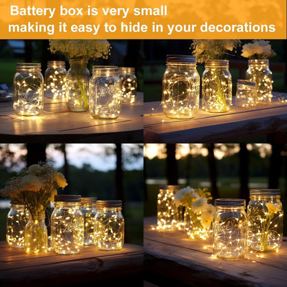 Skiennix 24 Pack Mini Fairy Lights - Battery Operated 20 LED Warm White String Lights, 6.6ft for Weddings & Crafts