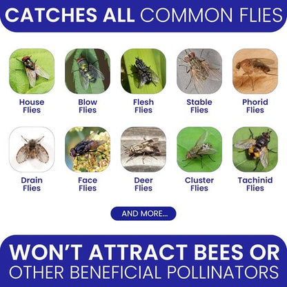 2 Fly Traps | Outdoor Patio Fly Trap with 4 Non-Toxic Bait Refills - Reusable Bug Catcher for Yard