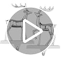 Reindeer Stocking Hangers Set of 2 - Metal Silver Christmas Mantel Hooks