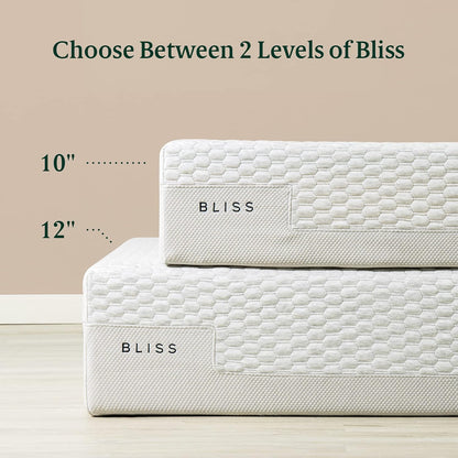 Zinus 12 Inch Bliss Memory Foam Mattress - Pressure Relieving | Sustainable Tencel Blend Cover, Queen Size
