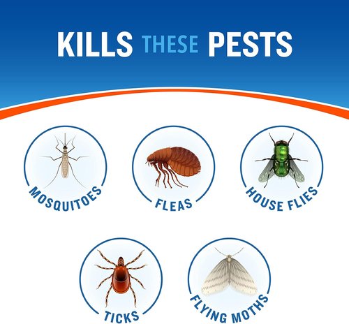 Cutter Backyard Bug Control Spray Concentrate - Kills Mosquitoes, Fleas & Ants | 32 fl Ounce (2 Pack)